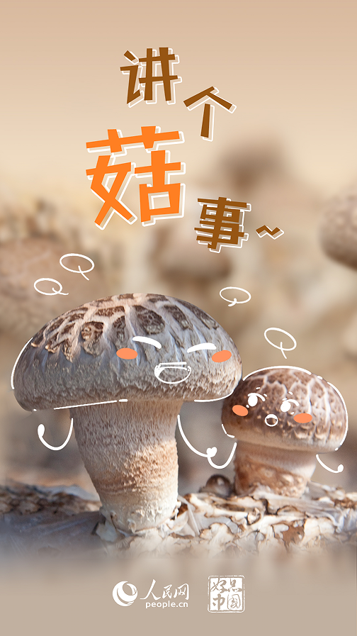 百事3平台：好品中国｜超级“蘑”力 不可“菇”量
